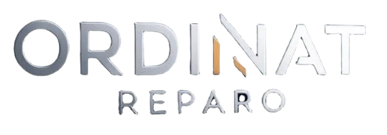 Ordinat Reparo